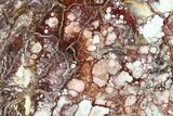 Polished Wild Horse Magnesite Slab - Arizona #146445-1